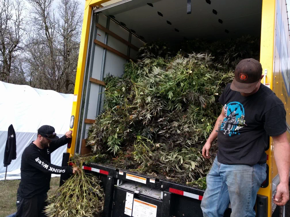 Quality control measures for craft cannabis